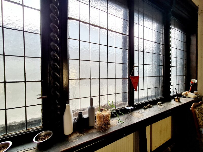 Plantelor, Bucuresti,