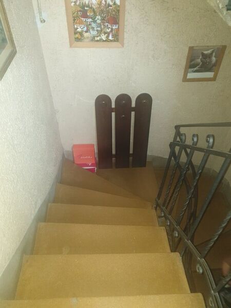 Plantelor, Bucuresti,