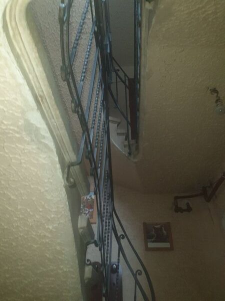 Plantelor, Bucuresti,